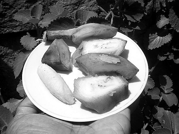 An unpeeled banana opened to reveal the fruit already cut into slices